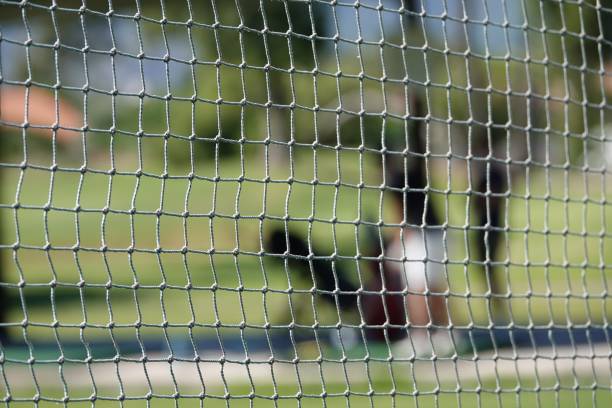 istock Closeup shot of a white net in a golf field 1437456336