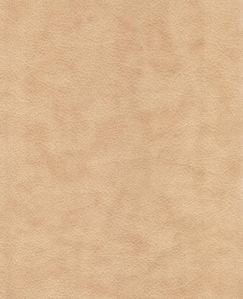 istock Vertical shot of a beige leather texture 1437456996