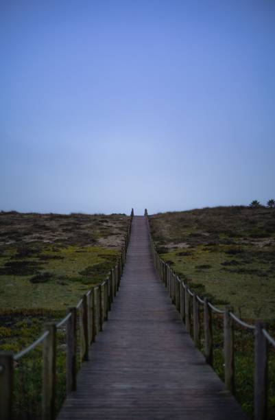 istock Walking towards sunset heaven 1437457278