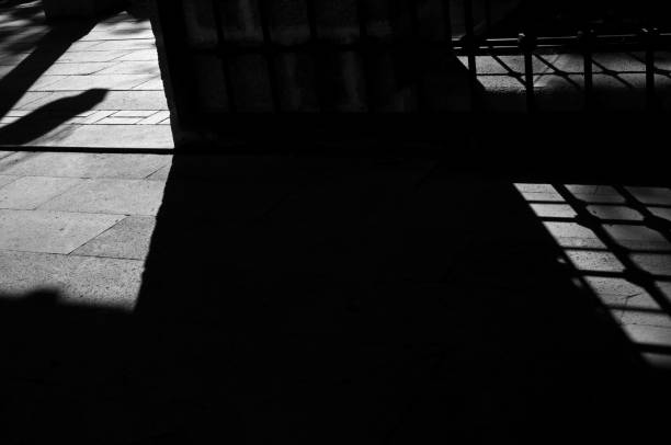 istock black and white shadow of a fence 1437457441