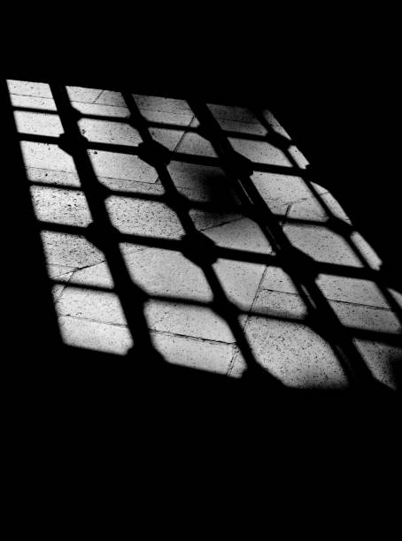 istock black and white shadow of a fence 1437459372