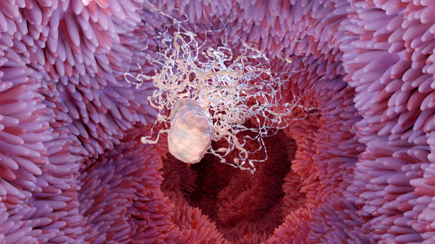 istock Helicobacter pylori illustration microaerophilic bacterium which infects various areas of the stomach and duodenum. microvilli surface. bacteria and viruse. 3d render 1437459733