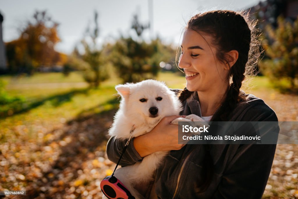 A teenage girl holds a dog in her hands 20-24 Years Stock Photo