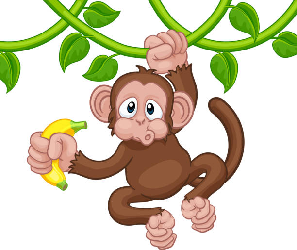 Monkey Singing On Jungle Vines With Banana Cartoon A monkey cartoon character singing on jungle vines with banana clip art of a monkey holding banana stock illustrations