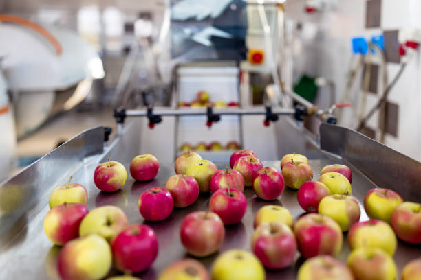 istock Clean and fresh gala apples on a conveyor belt in a fruit packaging warehouse 1437463564