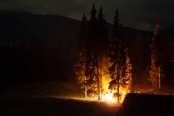 istock pine forest among the trees burning fire dark mysterious 1437466139