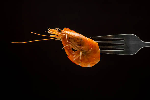 istock Steamed  shrimp steam on fork isolated black background copy space. isolated black background backlight  backlit food concept ready to eat. 1437467176