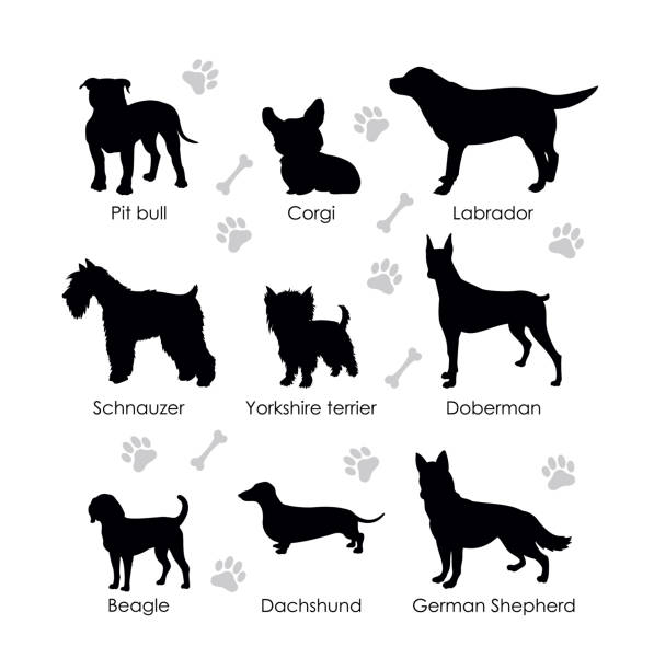 black silhouettes of dogs - 比特犬 幅插畫檔、美工圖案、卡通及圖標