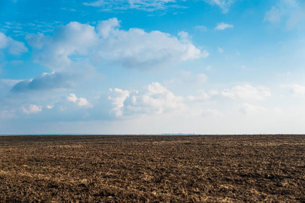 istock A plowed field on the background of a blue sky with clouds 1437471253