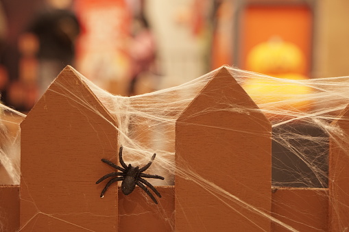 Halloween decoration and horror concept. Artificial spider web