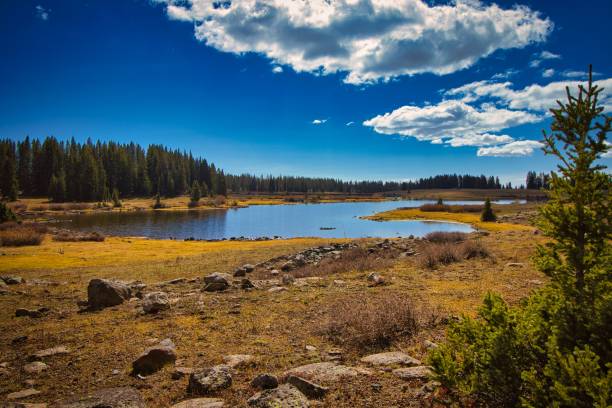 istock Relaxing view of a calm lake and forest under a blue sky 1437479583