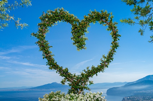 A closeup shot of a wedding decoration heart shape made of plants in front of Mount Vesuvius, Italy
