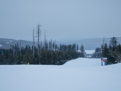 A horizontal shot of a snowscape taken on the top of Snowshoe Mountain at Snowshoe Ski Resort in West Virginia in February