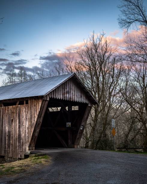 istock Wooden old garage surrounded by trees 1437480711