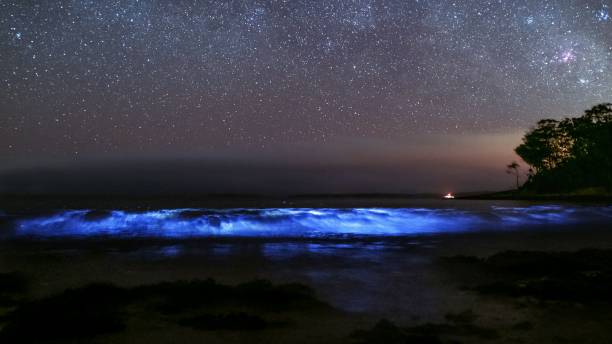 istock Mesmerizing view of a starry night sky over a beautiful tranquil beach 1437480827