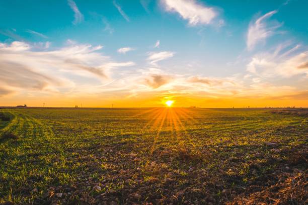 istock Sunset in Manzanares 1437481445