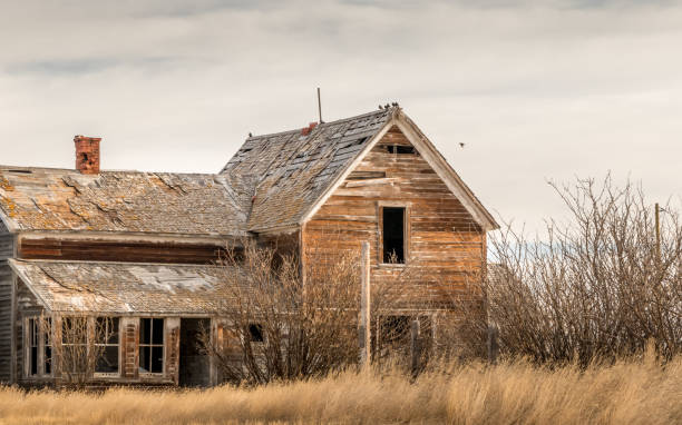 istock Rustic fam buildings Vulcan County Alberta Canada 1437482072