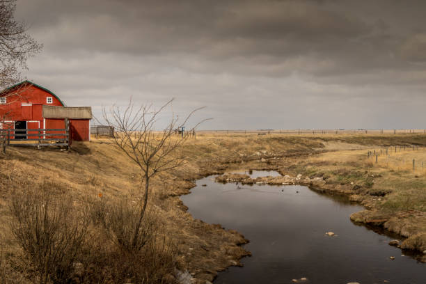 istock Rustic building on the prairies Vulcan County Alberta Canada 1437482472