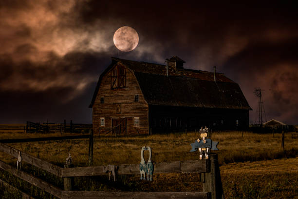 istock A drive around Vulcan County Alberta Canada 1437482787
