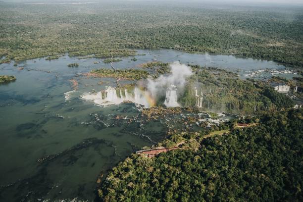 tiro aéreo da beleza das cataratas do iguaza do parque nacional do iguaçu no brasil - iguacu national park - fotografias e filmes do acervo