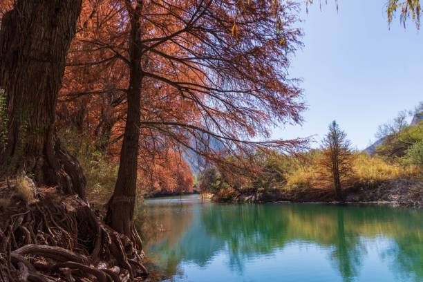 istock Trees with autumn foliage near the lake 1437483861