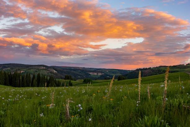 istock Countryside landscape with a scenic sunset over the field 1437483877