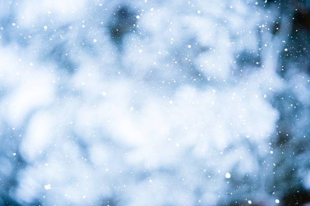 istock Winter scene - snowfall in the woods 1437484625