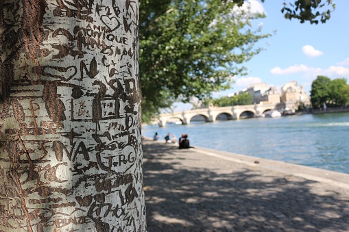 Baum mit eingeritzten Liebes-Zeichen in einem Baum in Paris