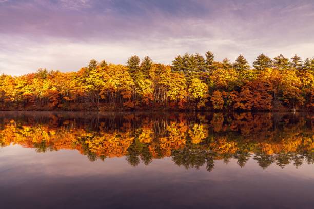 istock Forest in autumn reflecting on the water 1437485628