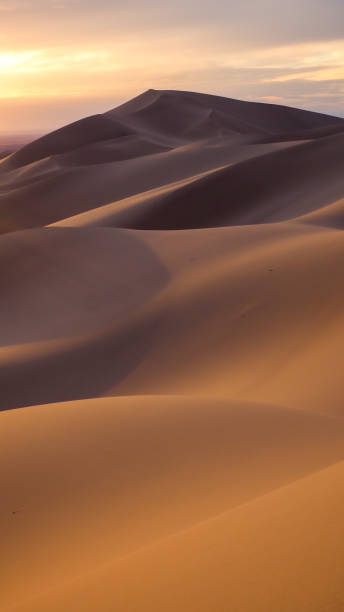 istock Dunes of Gobi desert in sunset light in Mongolia 1437488356
