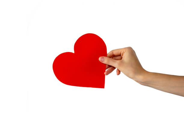 istock Woman's hand holds a paper red heart on an isolated white background 1437492282