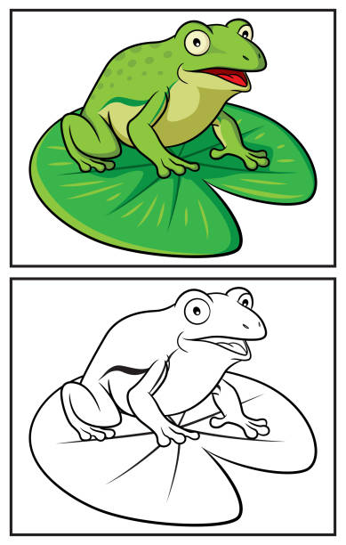Coloring book cute frog Coloring book cute frog. Coloring page and colorful clipart character. Vector cartoon illustration. cartoon of a frog black and white stock illustrations