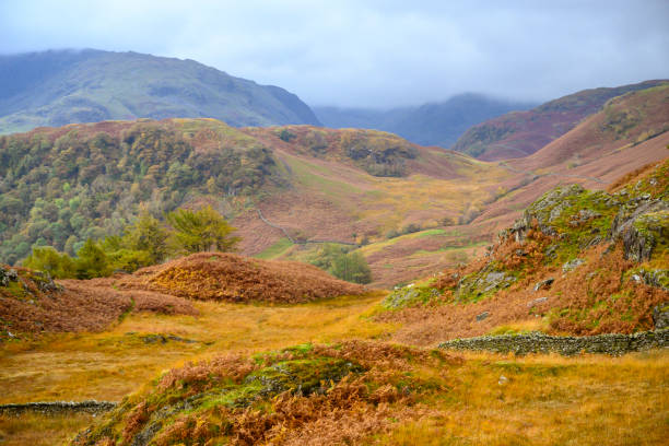 Autumn day looking in the direction on Yew Crag