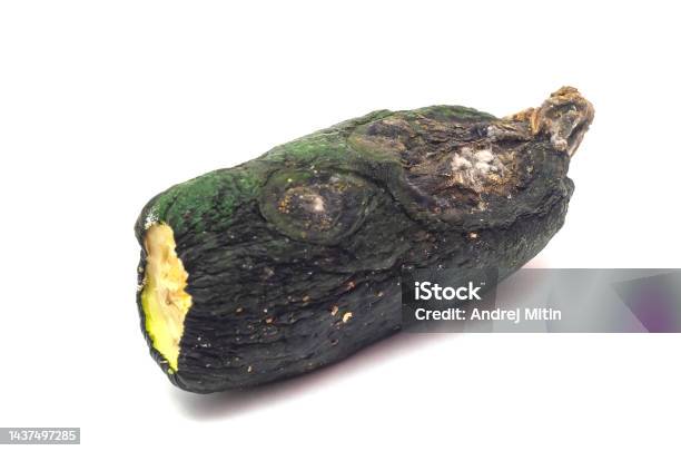 The Half Of Moldy Zucchini Isolated On White Background Stock Photo - Download Image Now
