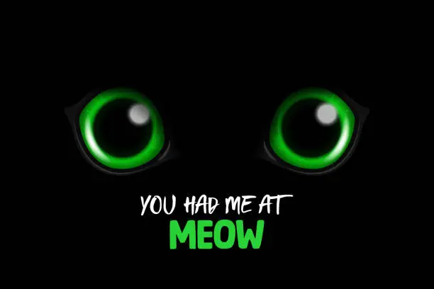 Vector illustration of You Had Me At Meow. Vector 3d Realistic Green Round Glowing Cats Eyes of a Black Cat. Cat Look in the Dark Black Background Closeup. Glowing Cat or Panther Eyes