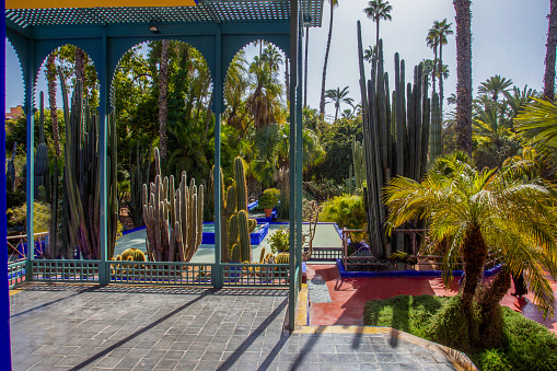 11-02-2015 Marraskesh, Morocco. Majorelle Garden in Marrakech  - blue pool and fountain and cactus garden around and part of  Building