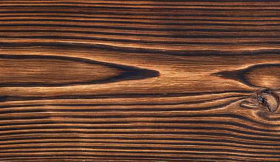 A fragment of a hardwood.