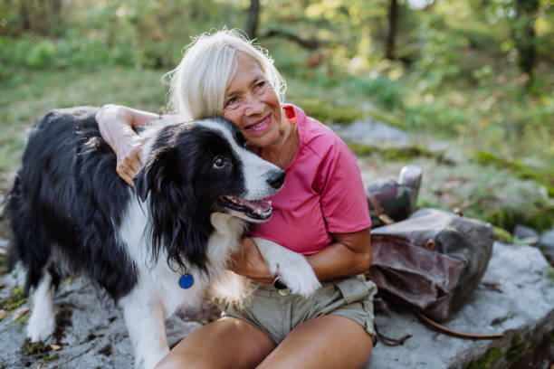 istock Senior woman having break during walking her dog in forest. 1437503071