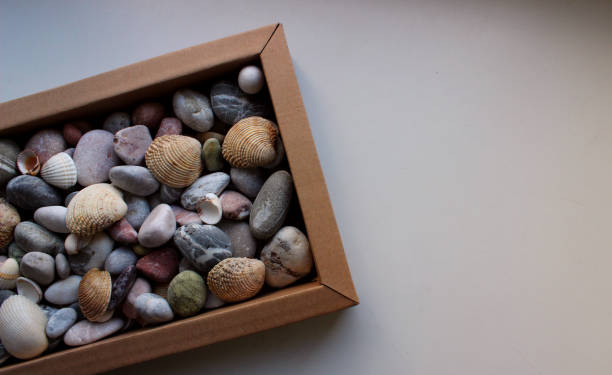 Colored Pebble Stones And Seashells In A Gift Box  On A Side Of Image. Ideas For Postcard Or Background