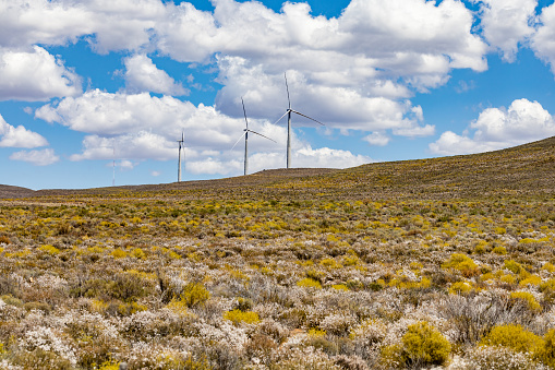 Wind-power turbines help to provide renewable energy in the Roggeveld region of South Africa.
