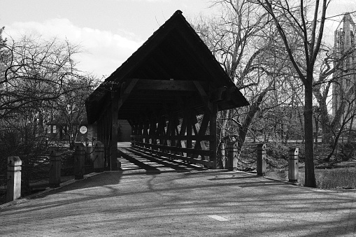 A grayscale shot of the beautiful Naperville Riverwalk Covered Bridge in Illinois, US