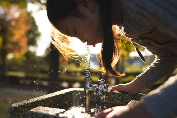 Girl drinking water at the water fountain in the park Girl drinking water at the water fountain in the park whites only drinking fountain stock pictures, royalty-free photos & images