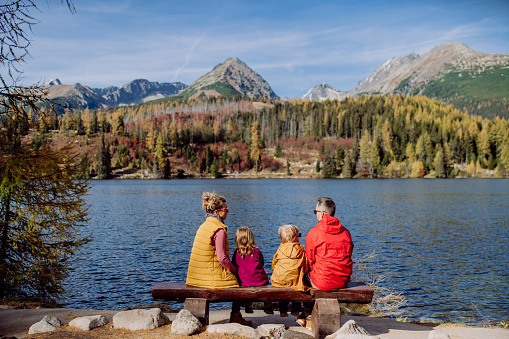 Rear view of young family with little children, resting and enjoying view at a lake in mountains.