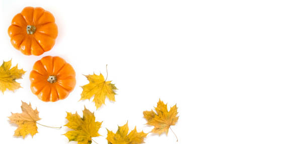 istock Pumpkins with autumn leaves isolated on white background. Creative autumn composition, Thanksgiving concept. 1437508444