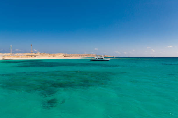 Egypt. Woman in Mahmya beach Woman relax in amazing nature landscape. Tropical blue Red sea in Egypt. Luxury holiday resort in island Giftun. Paradise in Mahmya beach. Inspiring travel panorama. Sight in Hurghada. taba stock pictures, royalty-free photos & images