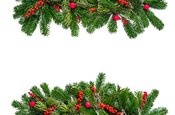 istock Christmas fir tree and holly berries border frame isolated on white copy space 1437513743