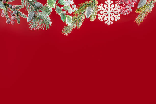 Christmas red background with top fir tree, snowflake, holly and copy space