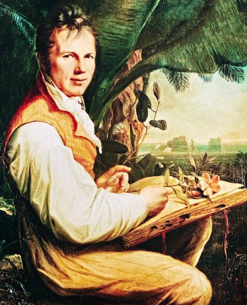 ilustraciones, imágenes clip art, dibujos animados e iconos de stock de alexander von humboldt 1806 después de su viaje en américa del sur - von