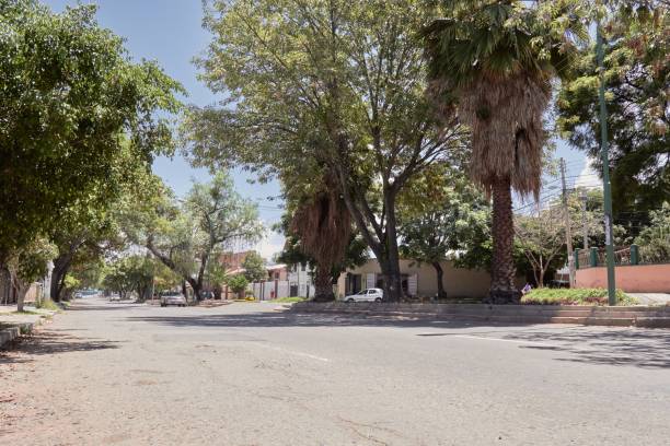 istock Horizontal shot of an empty street, with trees on both sides on a sunny day 1437519000