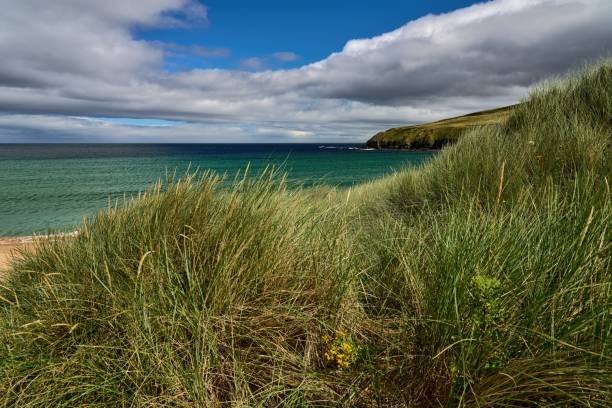 istock Dune grass and cliffs of the Scottish north coast 1437519721